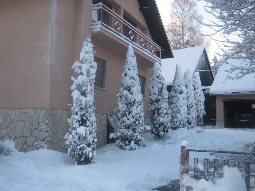 Vrelo Koreničko House Pribic酒店 外观 照片